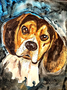 Pet Portrait