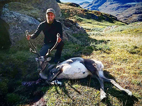 Rensdyr File Sprøde Forårs grøntsager 
