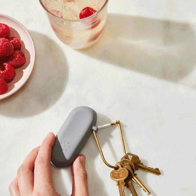 The 25 Best White Elephant Gifts To Bring To Your White Elephant Gift