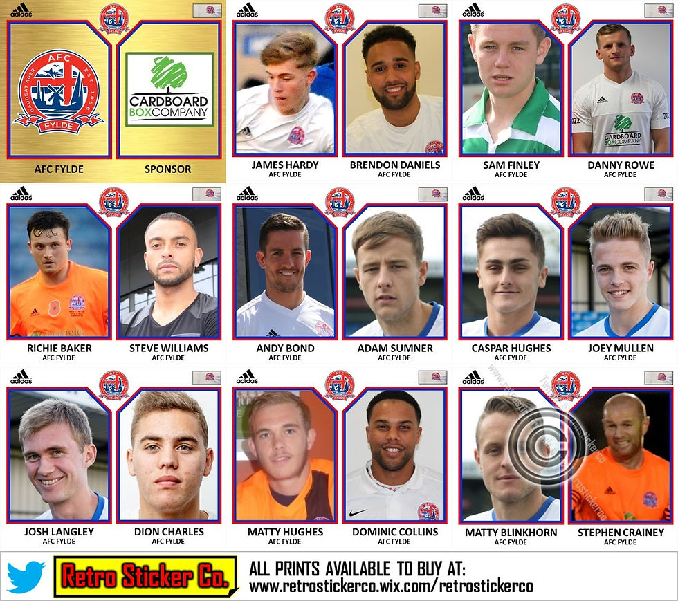 AFC Fylde 2016