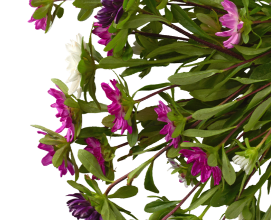 Untitled design (7)_edited.png