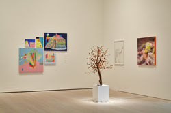 Future Island Exhibition