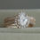 Thumbnail: Rose Gold Pear Cut Diamond Ring Set