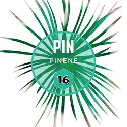 #16 Pinene