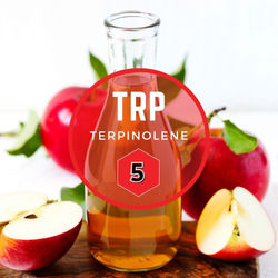 #5 Terpinolene