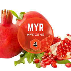 #4 Myrcene