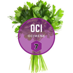 #7 Ocimene