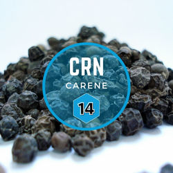 #14 Carene