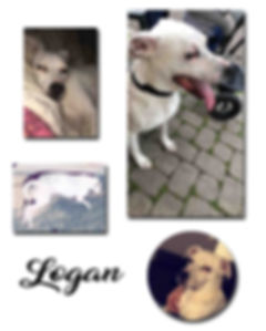 Logan copie.jpg