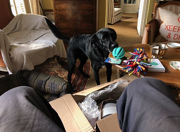 image1 (3).jpeg