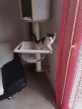 IMG_20190917_115817.jpg
