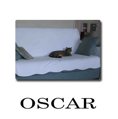 OSCAR 01 01 19.jpg