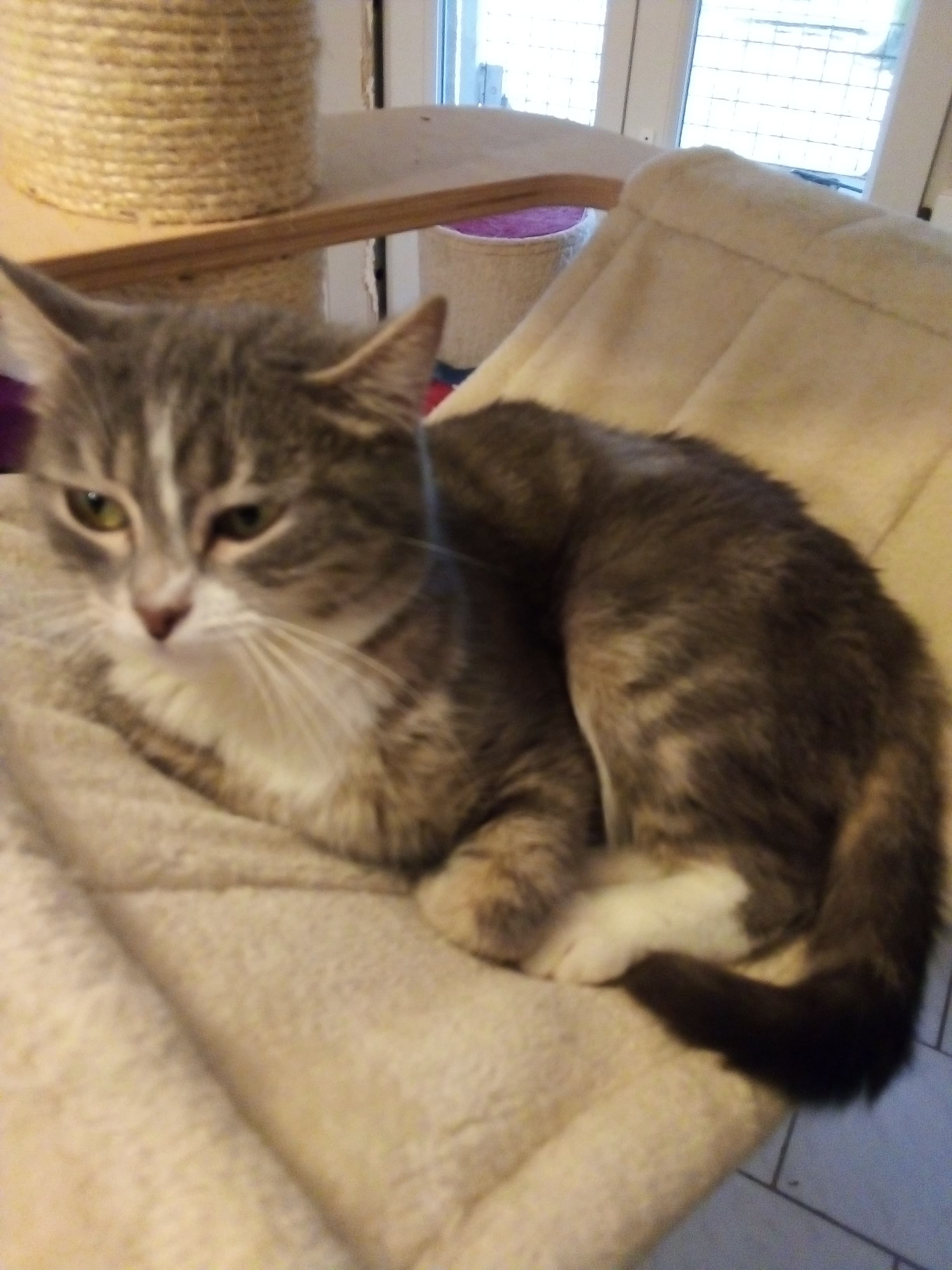 Le départ de Nala