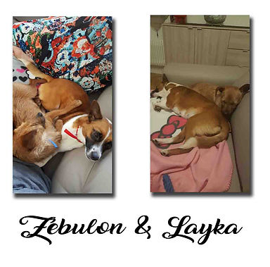 Zebulon & Layka copie.jpg