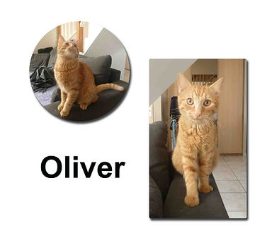 Oliver 21 10 18 copie.jpg