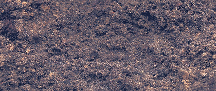Garden Soil_edited_edited.jpg