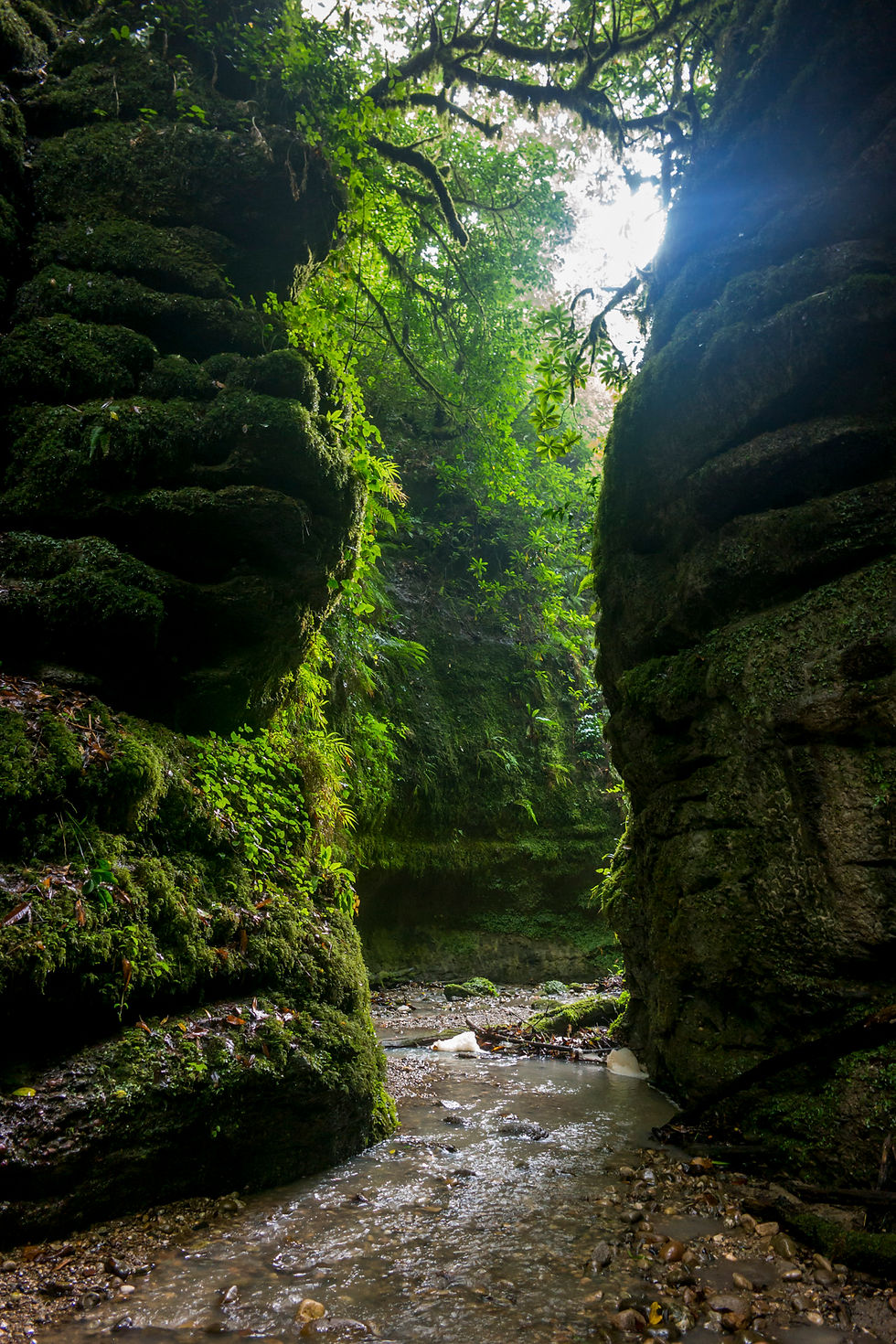 Конные прогулки