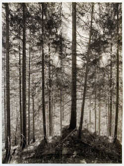 Marc De Blieck - Trace #001 - 2020
