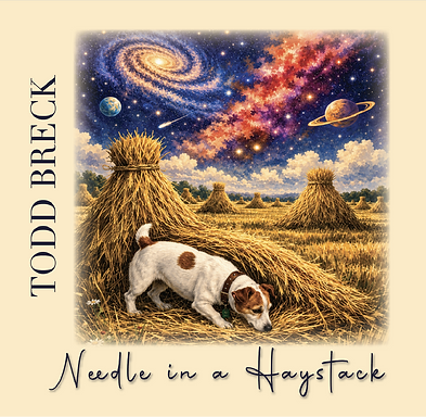CD-Cover-NIAH.png