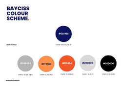 Style Guide - BayCISS Castlefield