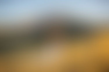 Unforgettable Mountain Charm: A Summer Wedding in Red Lodge, Montana