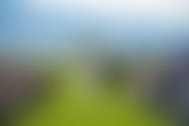 Montana Love Story: A Perfect Wedding at Fox Fields in Red Lodge