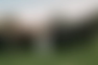 Saying "I do" at the Montana Wildflower Wedding Venue in Red Lodge MT