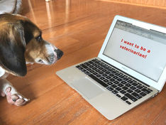 Free Online Info for Pre-Vets: Part I