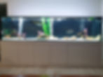 Thumbnail: Custom Aquariums & Cabinets