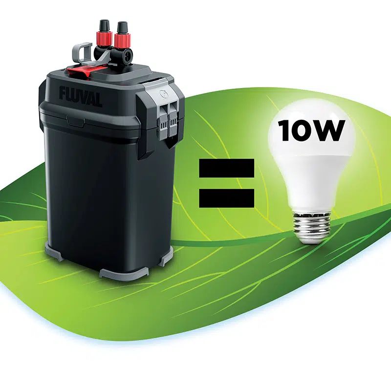 Aquarium Hut Fish Supplies Australia Aquarium Supplies Melbourne