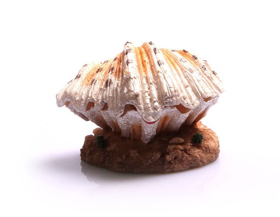 Ornament Air Operated Clam On Sand 9.3x9x6.5