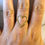 Thumbnail: LOVA Ring Gold / Silver