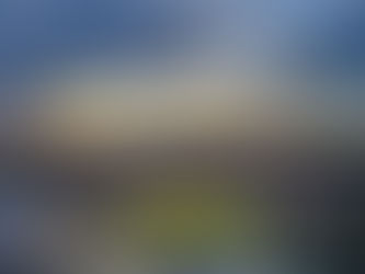 The Coalition of the Willing: Why We Exist and Where We Are Going