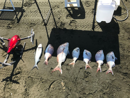 New kiwi invention making fishing a breeze