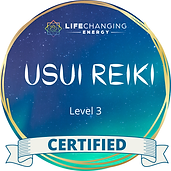 Life_Changing_Energy_CERTIFICATION_BANNER__3_.png