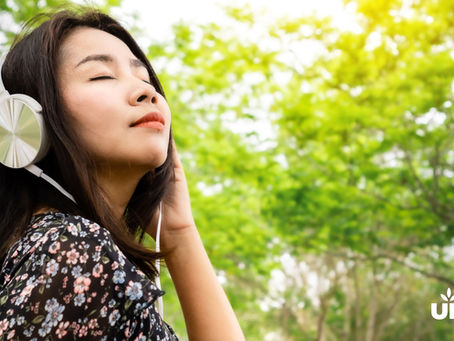Exploring the Safe and Sound Protocol: A Pathway to Nervous System Regulation