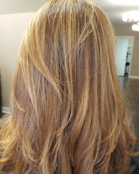 hair salon alexandria va