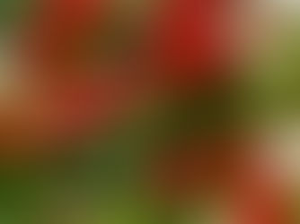 Nutrizione Naturale per la tua Vitalità