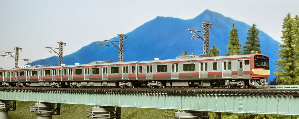 E531.jpg