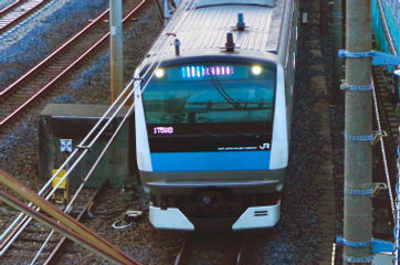 e233-1000.jpg