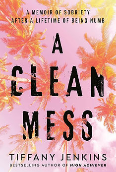 A Clean Mess by Tiffany Jenkins
