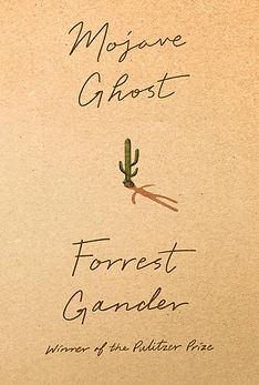 Mojave Ghost by Forrest Gander