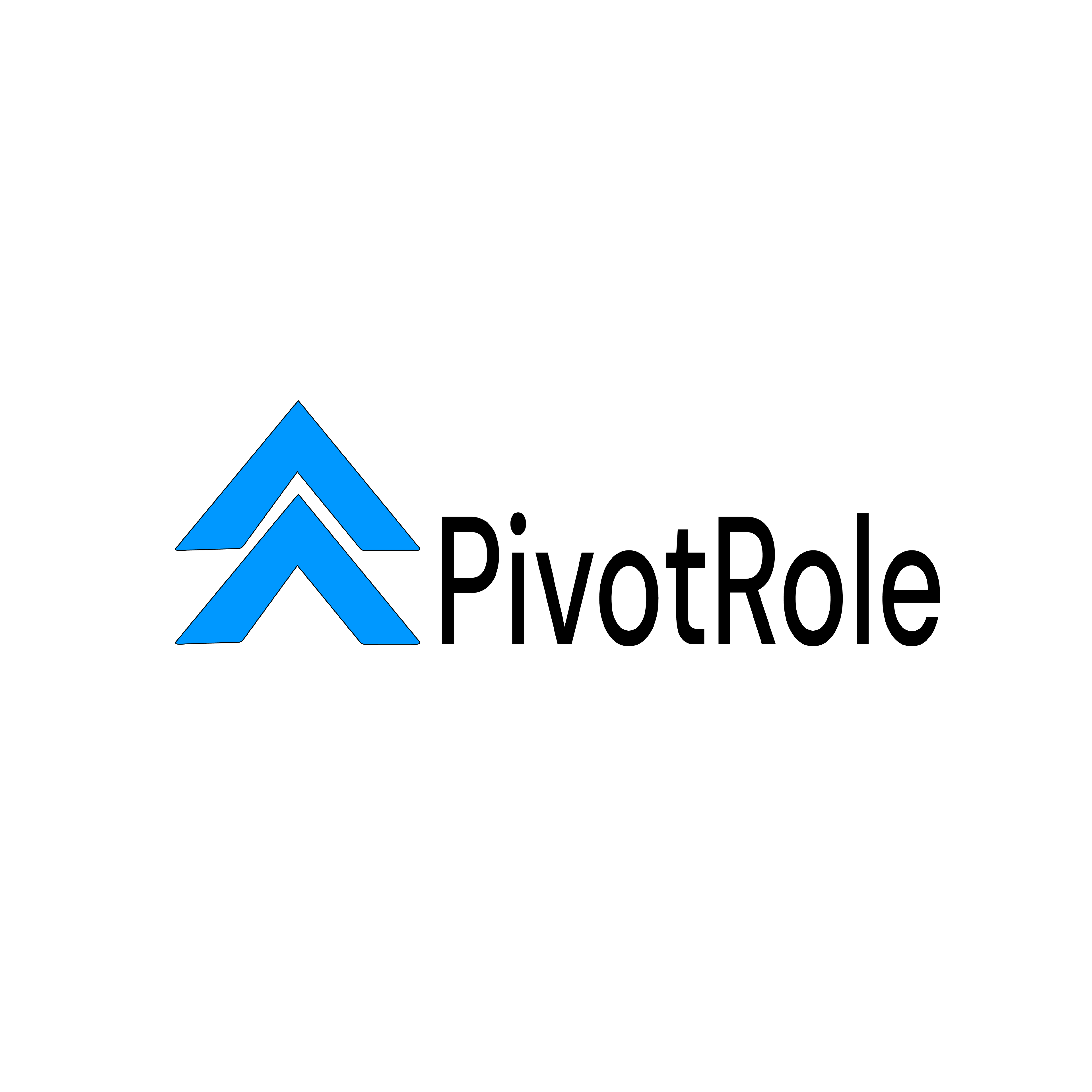 Writer: PivotRole