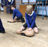 Y5 & 6 Careers Day