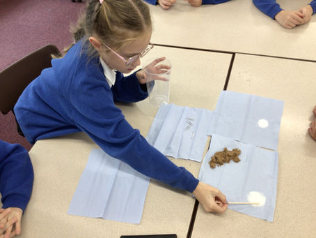 Y5 Science: Mixtures