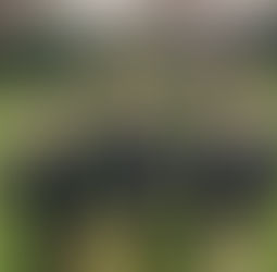 Year 5, Active Maths