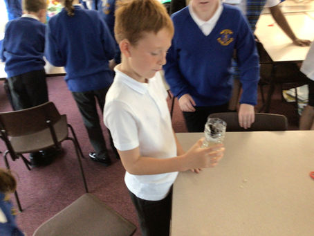 Year 5 Autumn 1 Week 4 - Science