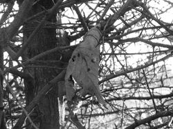 DSCF1404 edit