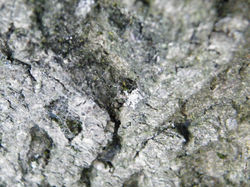 DSCF0527