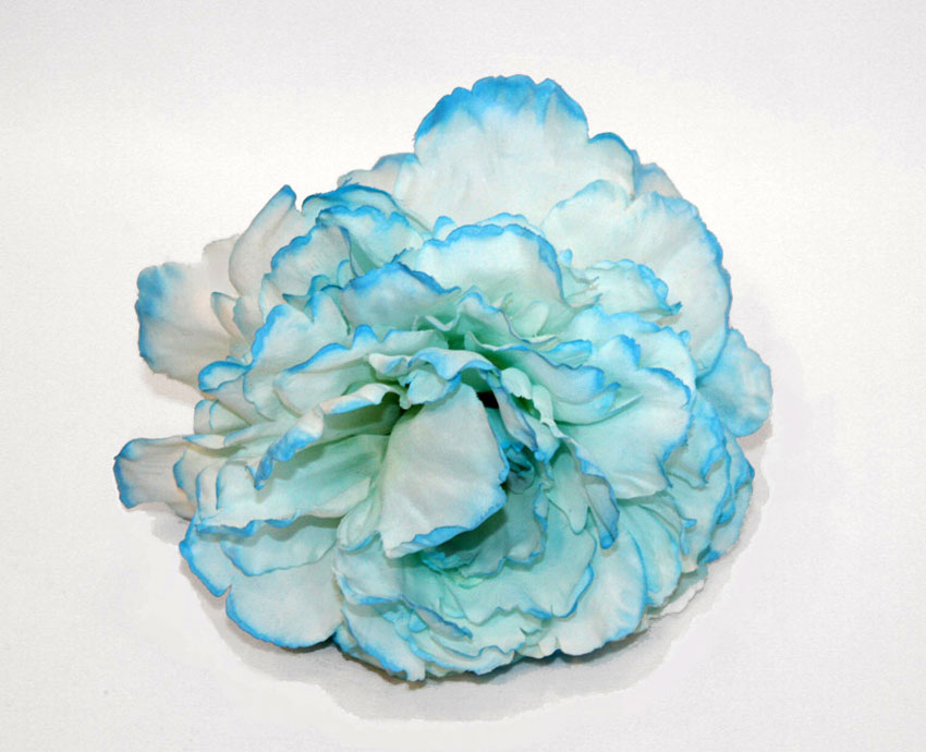 peonía-azul